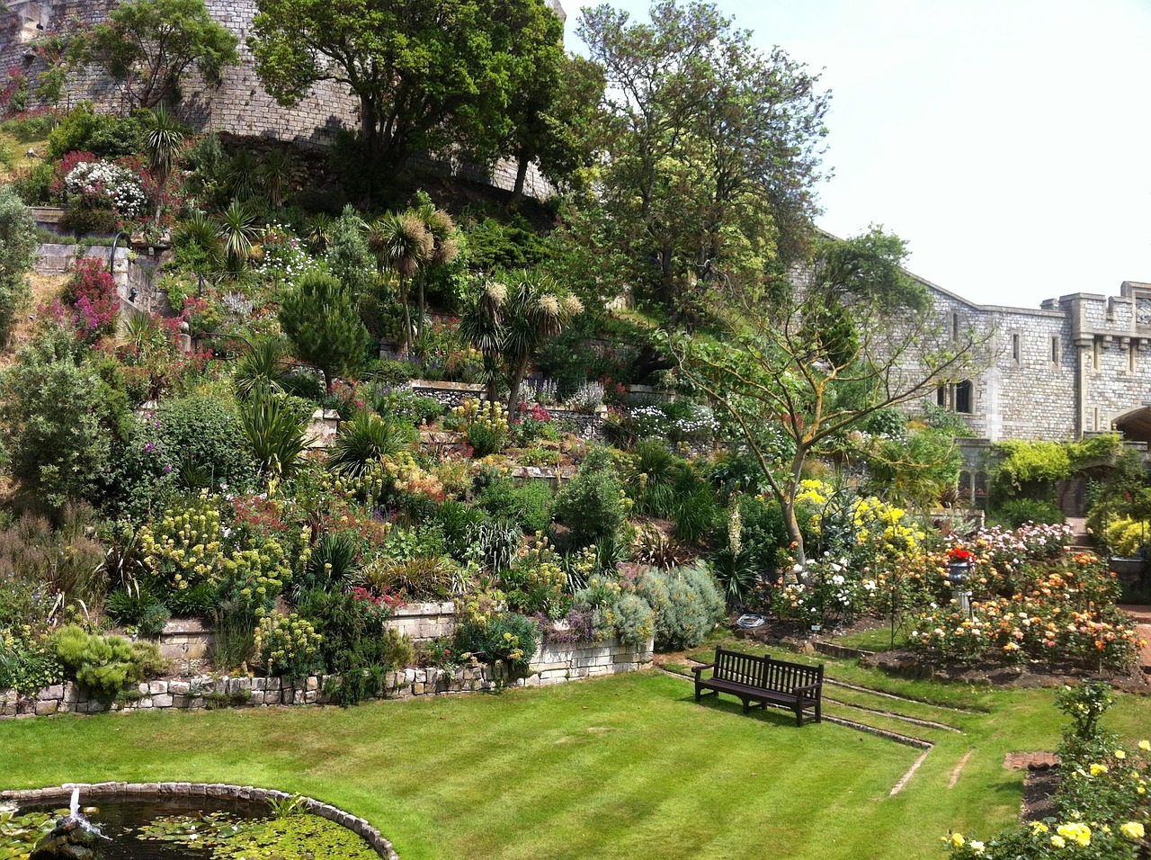 Blumen in einem Privatgarten